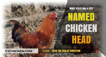 Unusual Place Names: Which State Has a City Named Chicken Head?