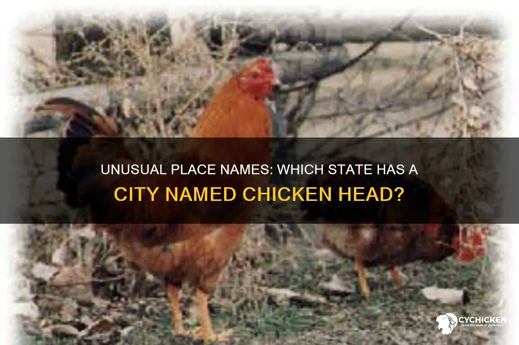 what state has a city named chicken head