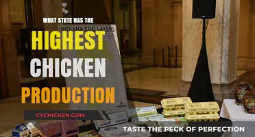 Top Chicken Producing State: Unveiling the Leader in Poultry Production