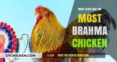 Discovering the Top State for Brahma Chicken Populations