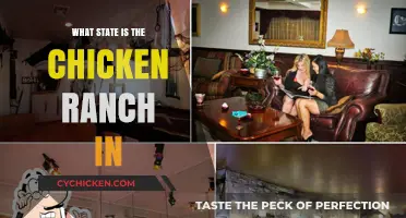 Where is the Chicken Ranch? Uncovering the State of this Famous Brothel