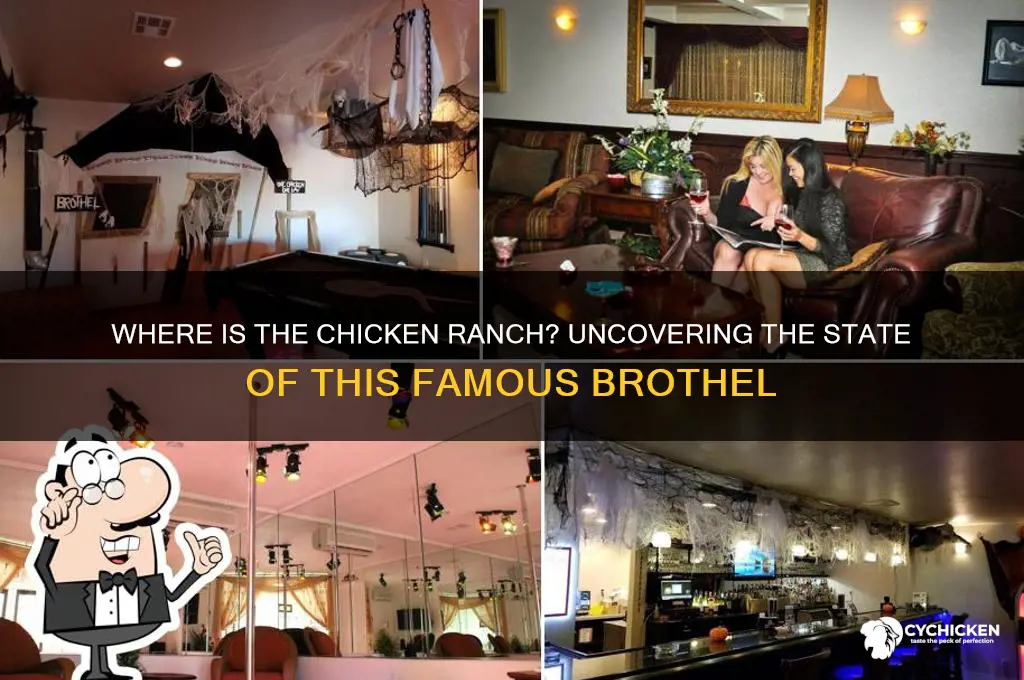 what state is the chicken ranch in