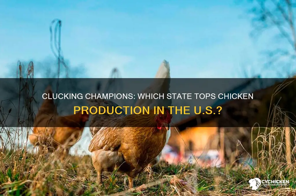 what state is the largest producer of chicken