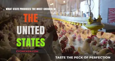 Which US State Rules the Roost?