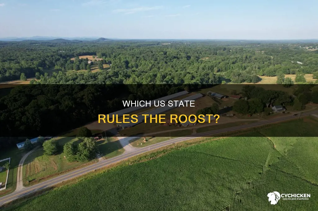 what state produces the most chicken in the united states