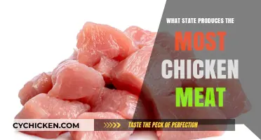 Top Chicken Producing State: Unveiling the Leader in Poultry Production