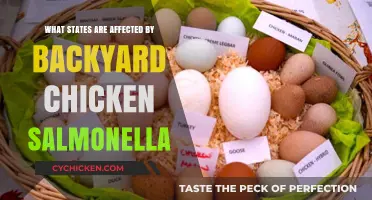 Salmonella Outbreaks Linked to Backyard Chickens: Which States Are Affected?