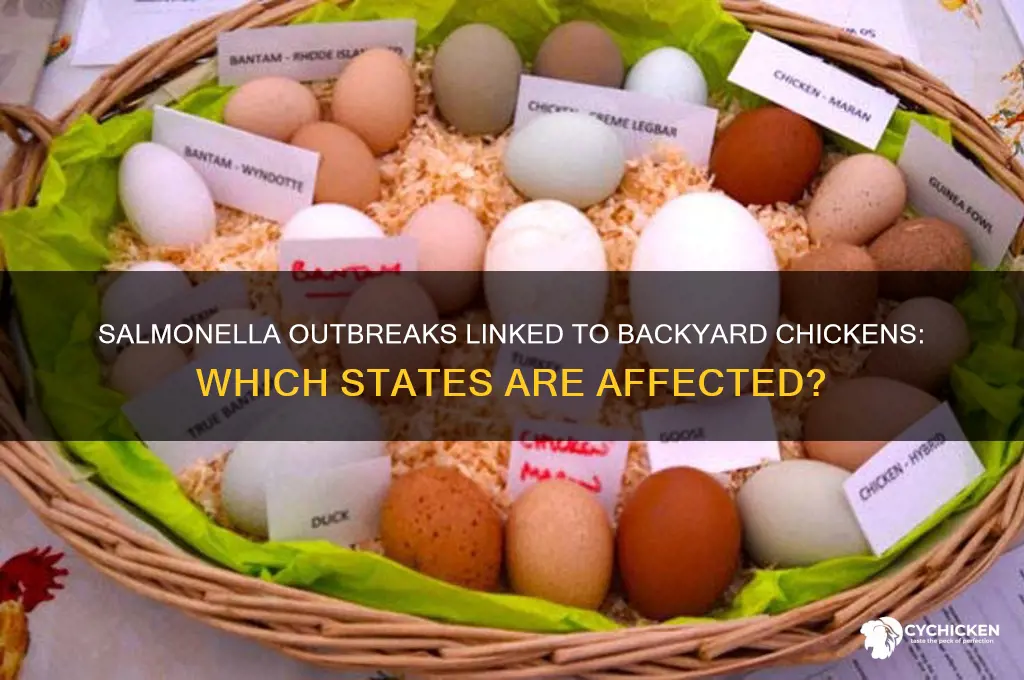 what states are affected by backyard chicken salmonella