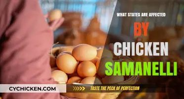 States Hit by Chicken Samonella Outbreak: A Comprehensive List