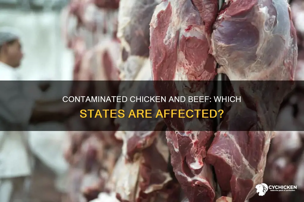 what states are contaminated chicken and ground beef found in