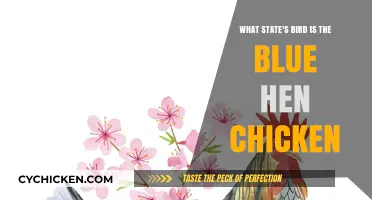 Which State Claims the Blue Hen Chicken as Its Own?