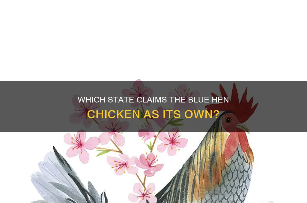 what state