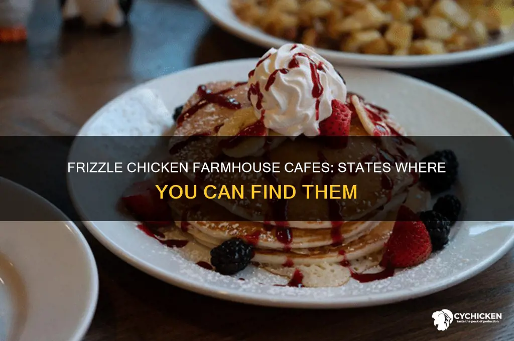 what states have a frizzle chicken farmhouse cafe