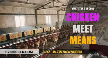 Understanding Step 2 in Cage Chicken Meat Production Process