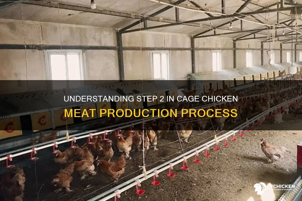 what step 2 in cage chicken meet means