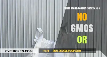 GMO-Free Store-Bought Chicken: Top Brands for Healthy, Natural Choices