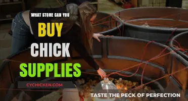 Where to Buy Chick Supplies: Top Stores for Poultry Essentials