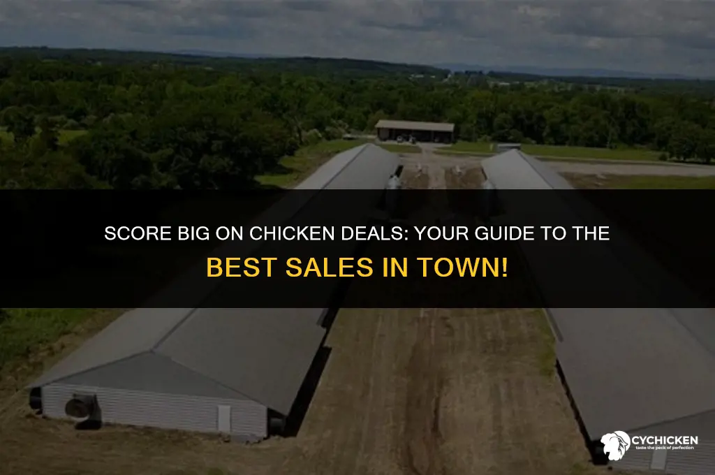 what store has chicken on sale