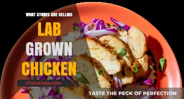 Where to Buy Lab-Grown Chicken: Retailers Leading the Future of Food