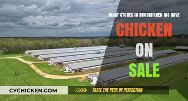 Discover the Best Chicken Deals in Brookhaven, MS Stores