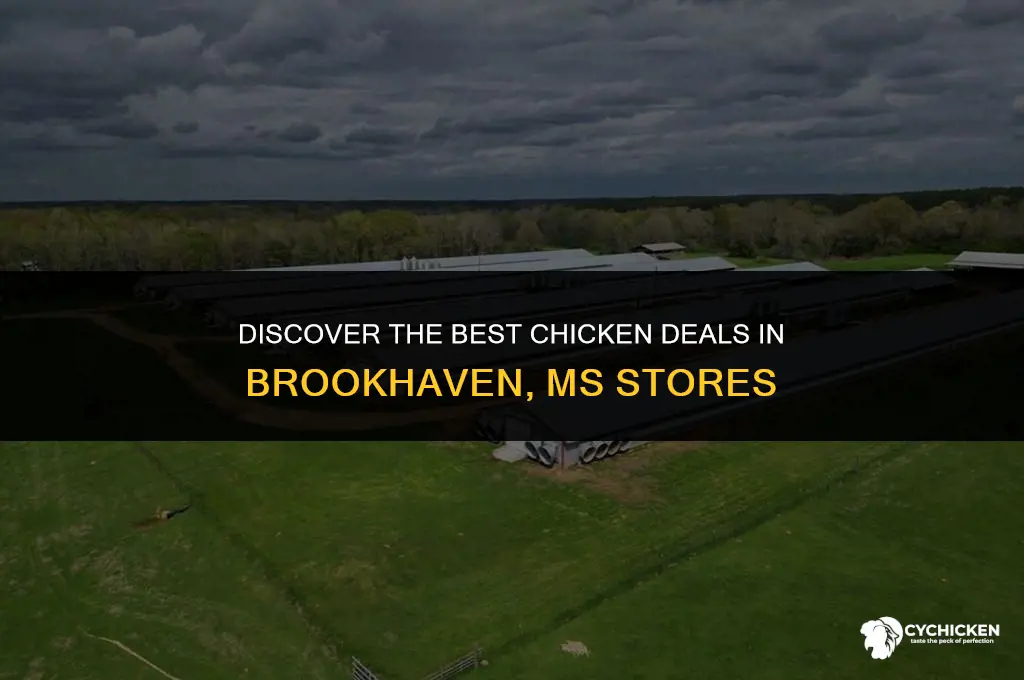 what stores in brookhaven ms have chicken on sale