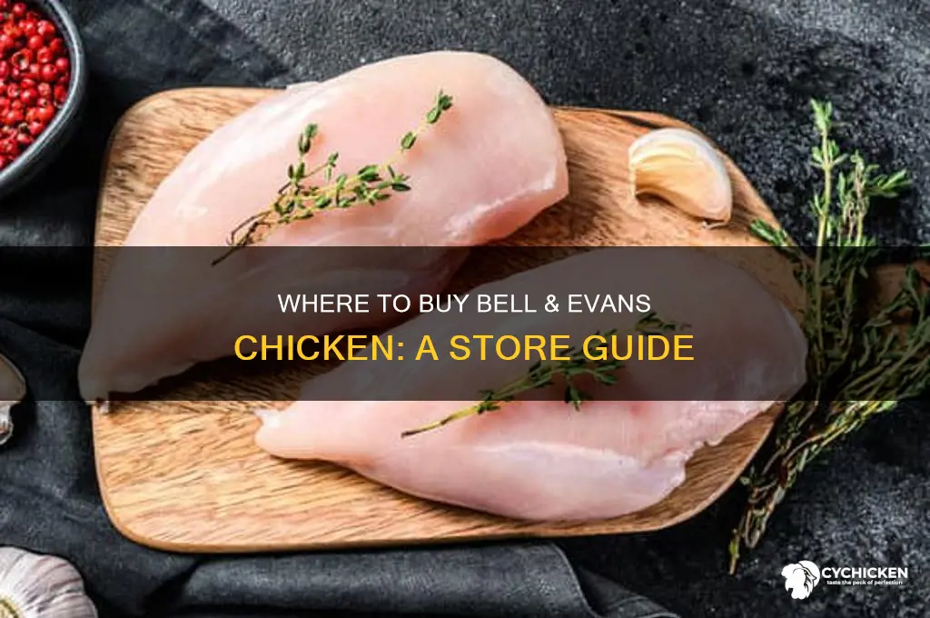 what stores sell bell and evans chicken