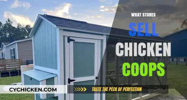 Where to Find Chicken Coops: A Comprehensive Guide to Local and Online Stores
