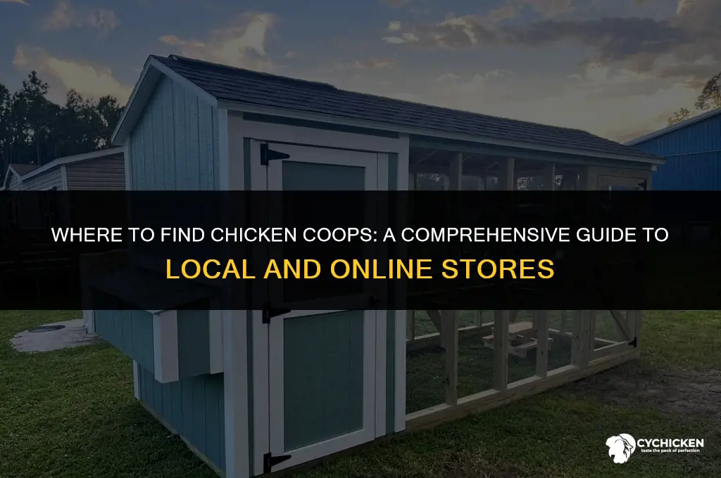 what stores sell chicken coops