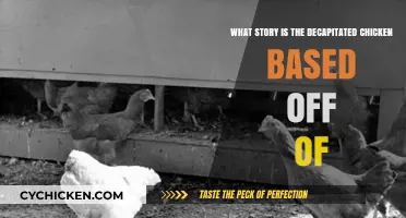 Decapitated Chicken: What Inspired the Story?