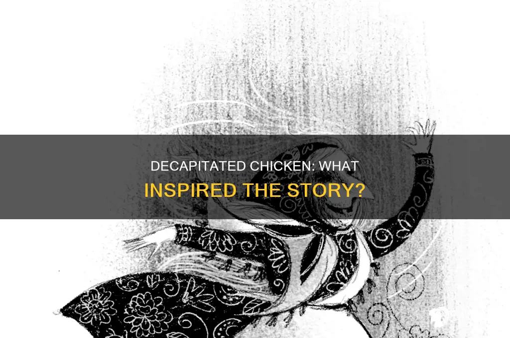 what story is the decapitated chicken based off of