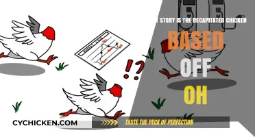 Folklore Origins: Decapitated Chicken Story Explained