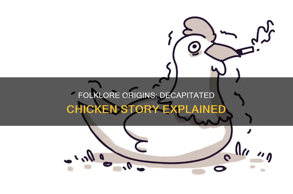 what story is the decapitated chicken based off oh