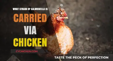 Chicken-Borne Salmonella: Identifying the Strain and Its Risks
