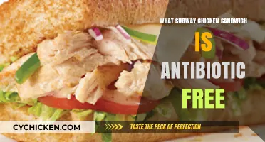 Discover Subway's Antibiotic-Free Chicken Sandwich Options: A Healthy Choice