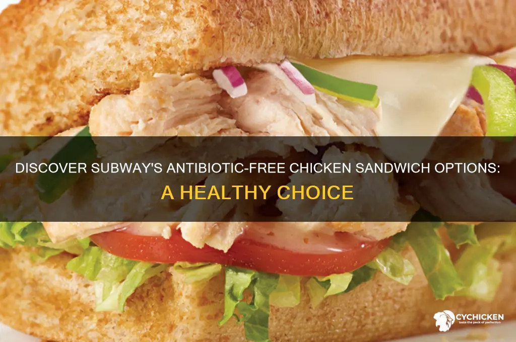 what subway chicken sandwich is antibiotic free