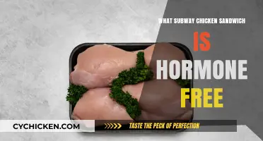 Hormone-Free Subway Chicken Sandwich: Which Option Fits the Bill?
