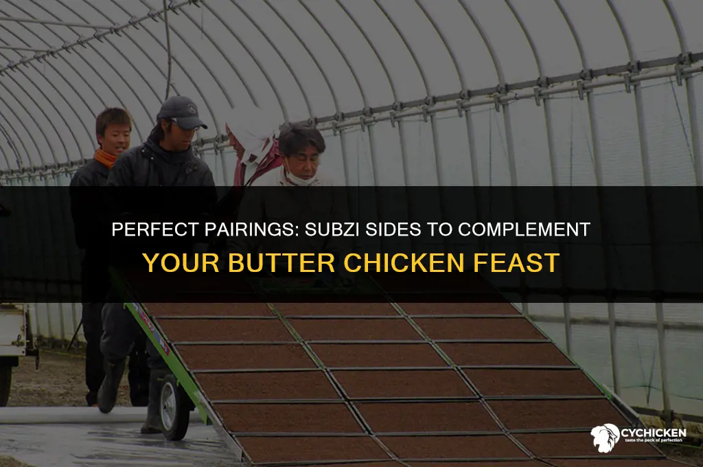 what subzi to serve with butter chicken