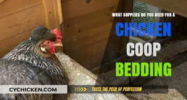 Essential Bedding Supplies for a Comfortable Chicken Coop