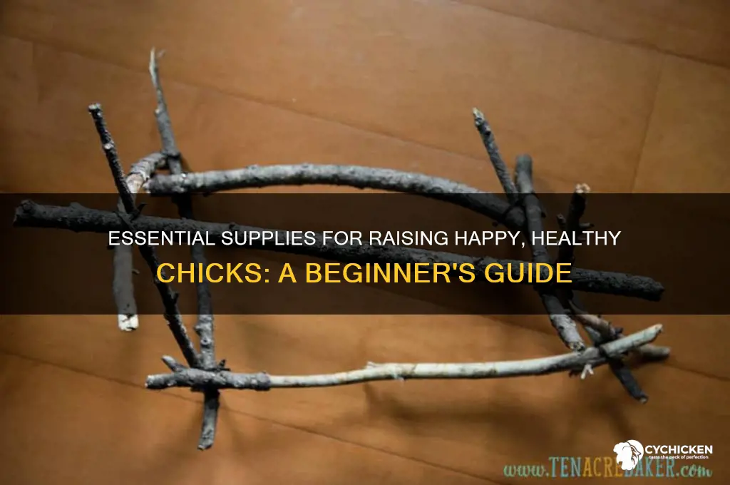 what supplies do you need for chicks