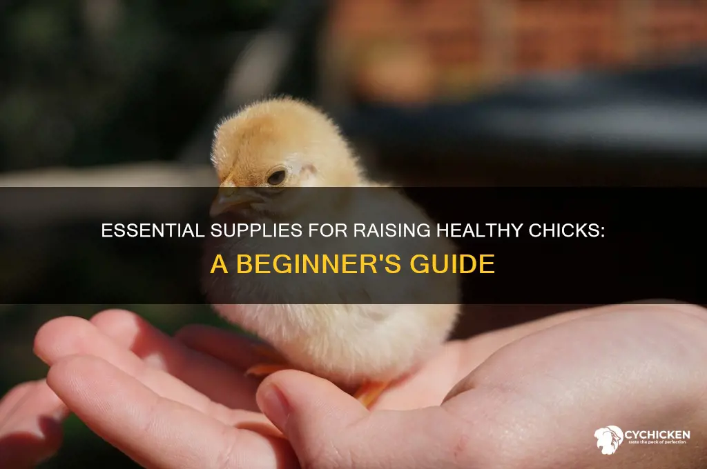 what supplies do you need to raise chick