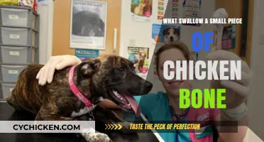 Accidentally Swallowed Chicken Bone? Here’s What to Do Next