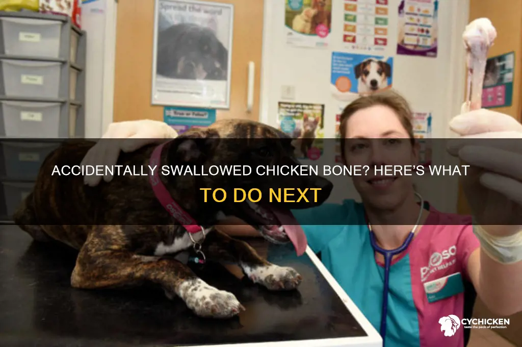 what swallow a small piece of chicken bone