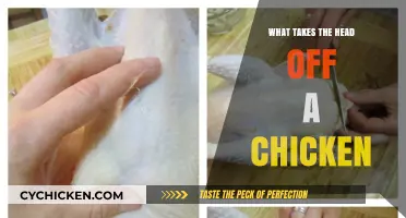 How to Safely Remove a Chicken's Head: Methods and Tips