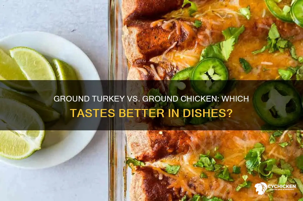 what taste better ground turkey or ground chicken