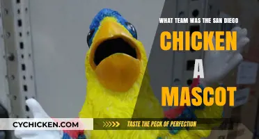 The San Diego Chicken's Team: A Fowl History