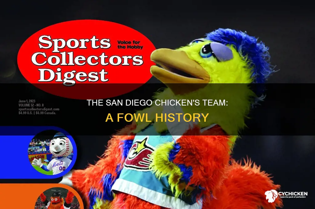 what team was the san diego chicken a mascot