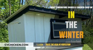 Winterizing Your Coop: Optimal Temperature for Happy Chickens