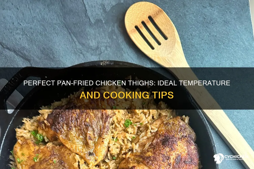 what temo do you pan fry chicken thighs too