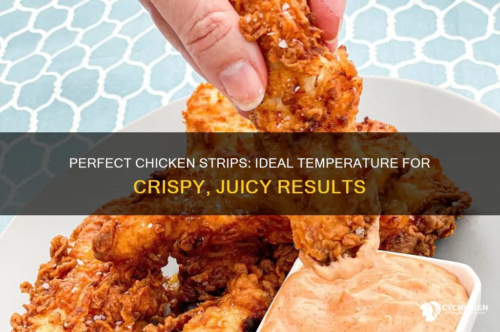 what temo should my chicken strips be inside