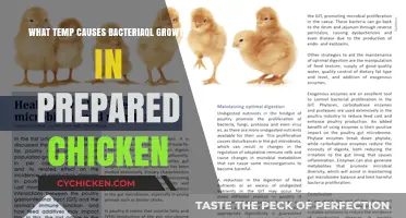 Optimal Temperature Range for Bacterial Growth in Prepared Chicken